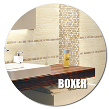 BOXER