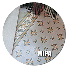 MIPA